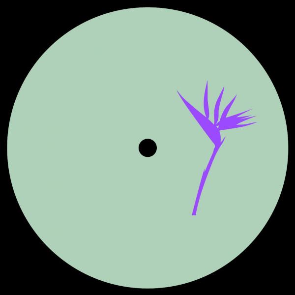 PREORDER – T.E.Q レコードショップ