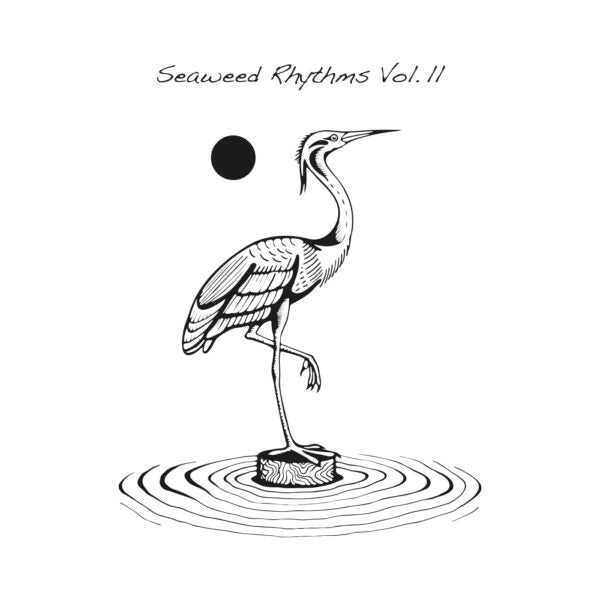 Seaweed Rhythms Vol.II