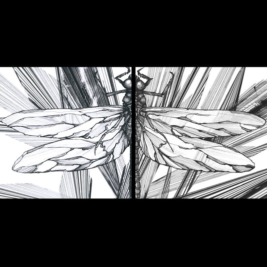 Transparency EP (2 x 12″ pack)