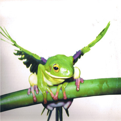 Trip Do Brasil 2 - EP1