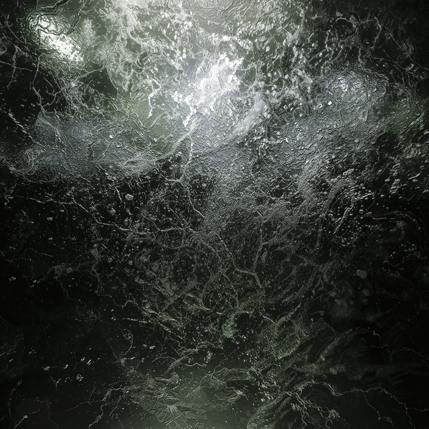 A Gate To The Forest