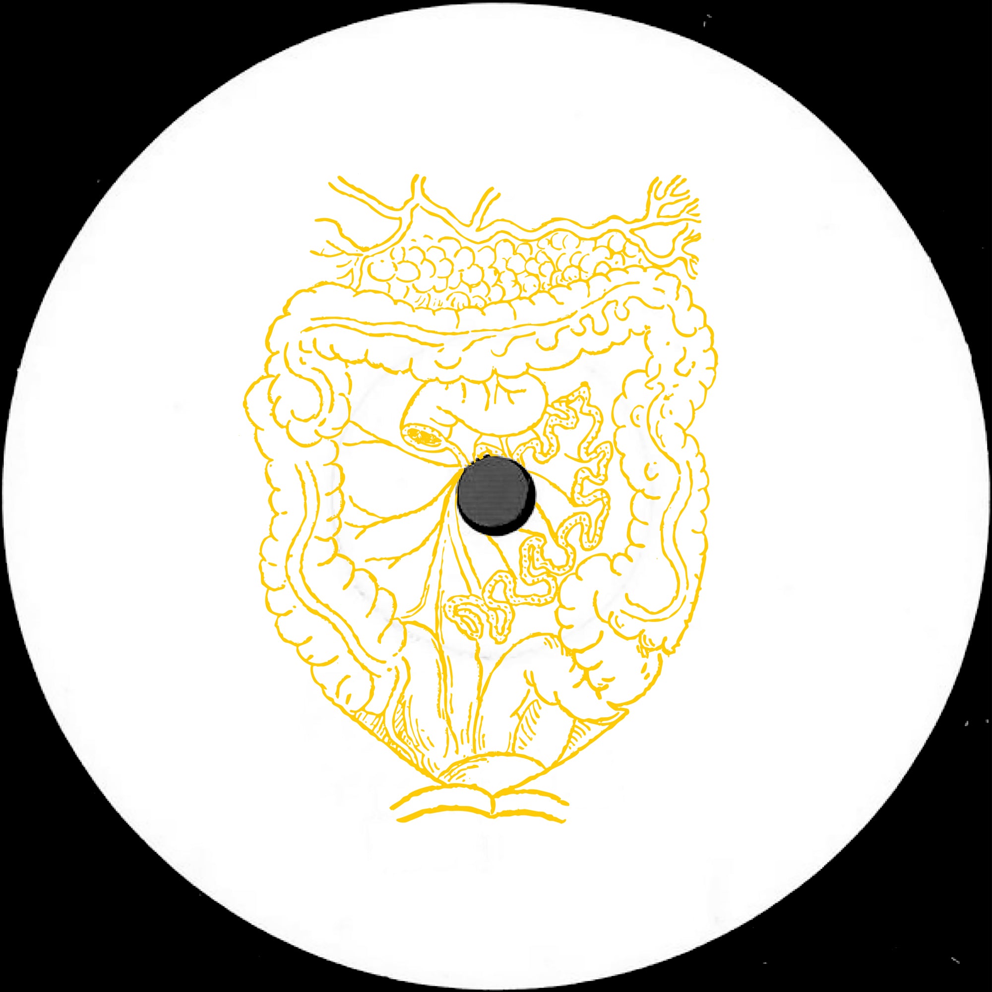 HOUSE – T.E.Q レコードショップ