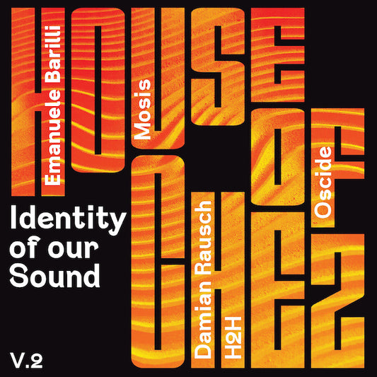 IDENTITY OF OUR SOUND VOL.2