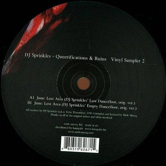 Queerifications & Ruins Vinyl Sampler 2