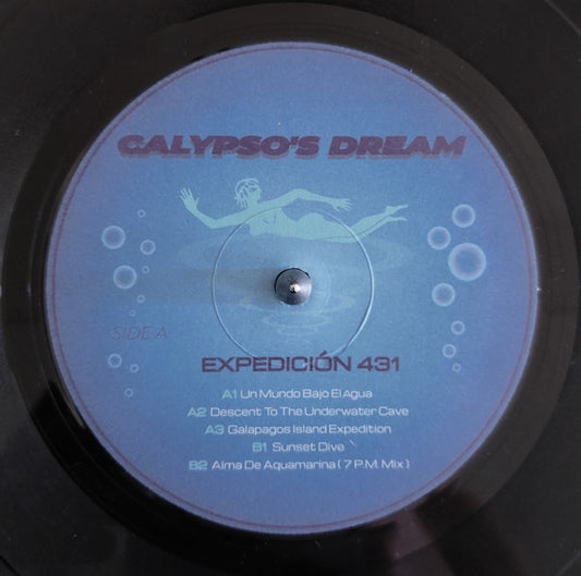 Expedición 431