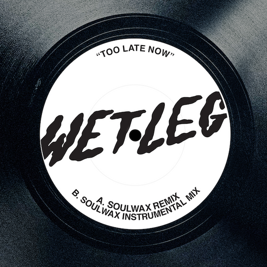 TOO LATE NOW (SOULWAX REMIXES)